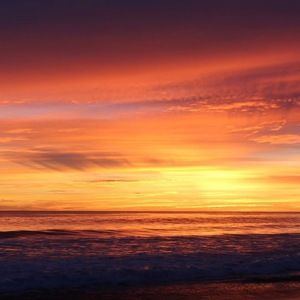 Meet your Posher, Maya